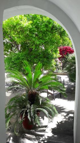 Sant'Agnello Bed & Breakfast | Back to Sorrento