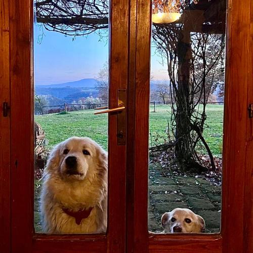 Lubriano Bed & Breakfast | Bed And Breakfast Dopo Il Settimo Cielo