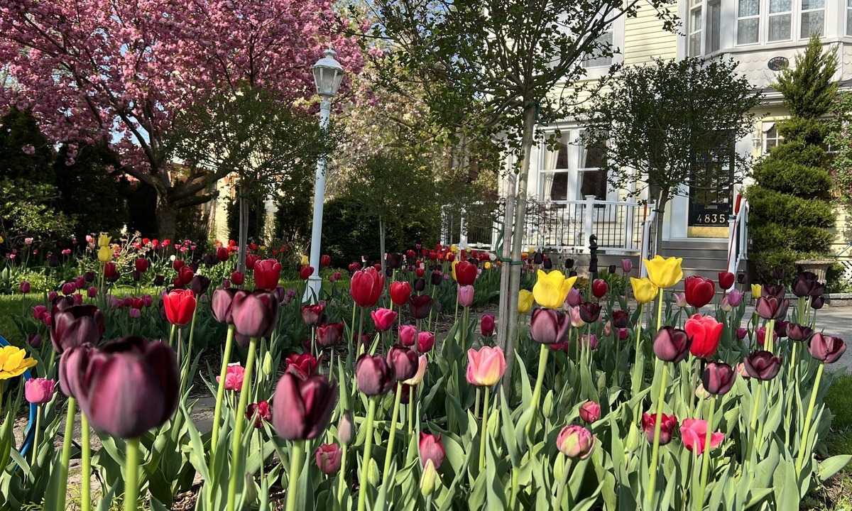 Niagara Falls Bed & Breakfast | Bedham Hall Bed & Breakfast