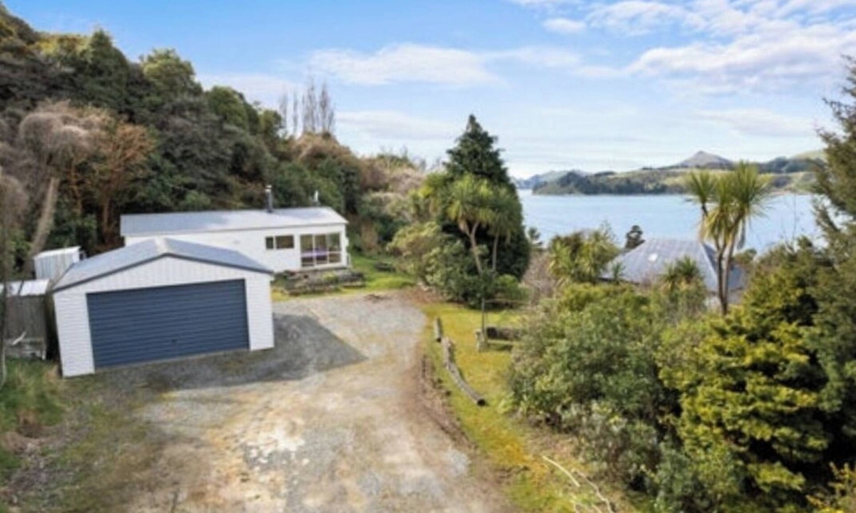 Dunedin House | Bird Life, Sea Views