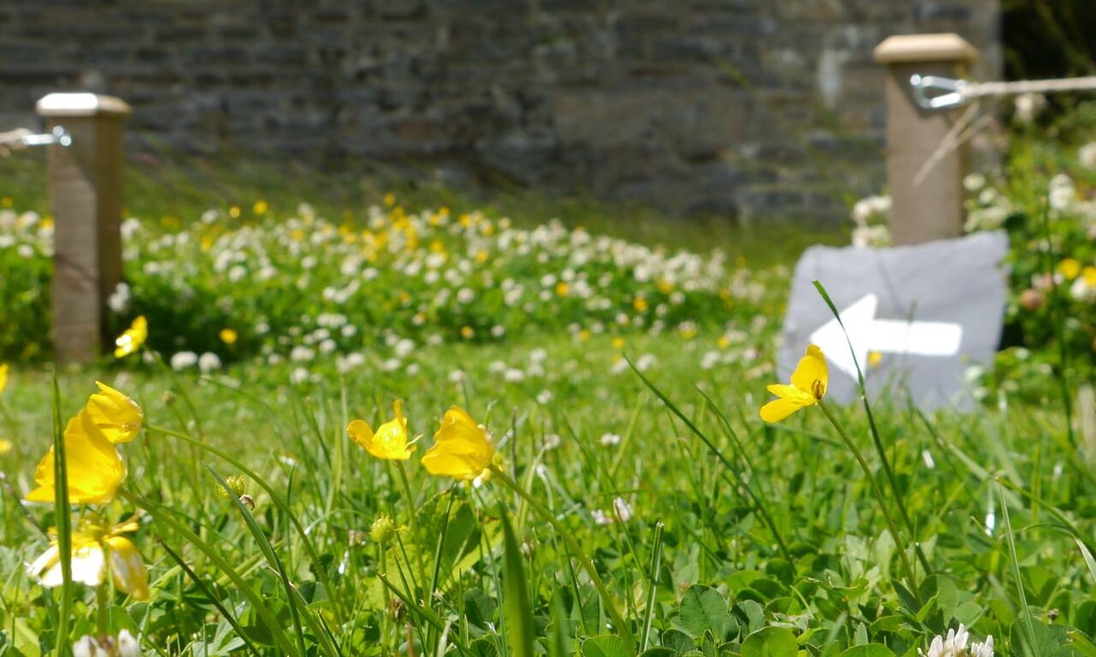 Braemore Bed & Breakfast | Braemore Walled Garden B&B
