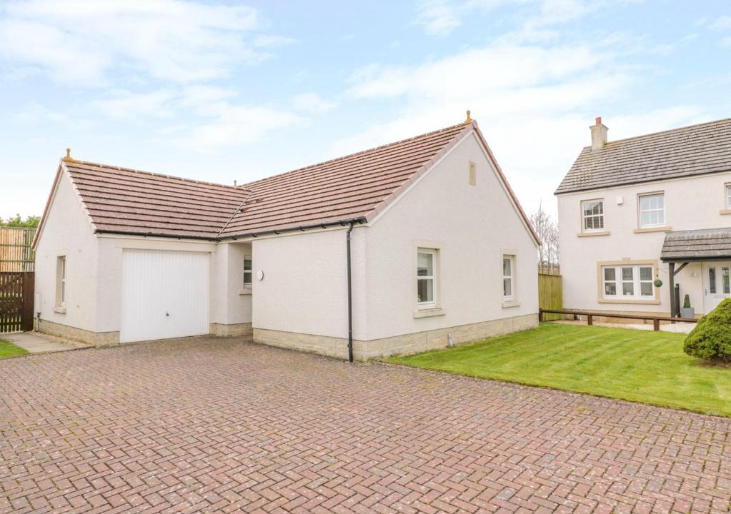 Ayr House | Bright and Beautiful