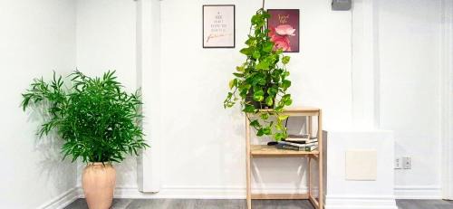 Steeles House | Bright & Cozy Rooms with Privated Bathrooms in Toronto