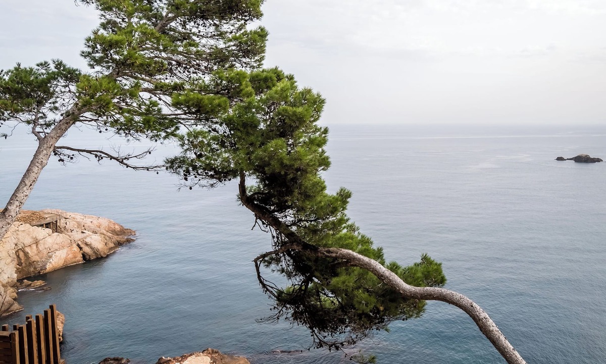 Begur Hotel | BYPILLOW Cap Sa Sal