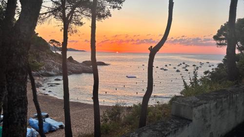 Salionc Apartment | Cala Salions, Amplio Apartamento con visitas al mar Tossa de mar