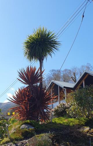 Cairndow Apartment | Carrick Chalets
