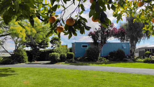 Richmond Apartment | Container stay