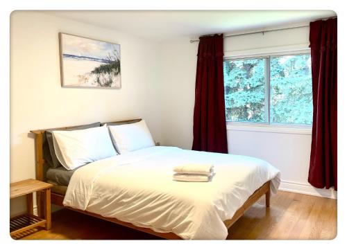 The Peanut House | Cozy Queen room with Shared Bath near Seneca Donmills Finch