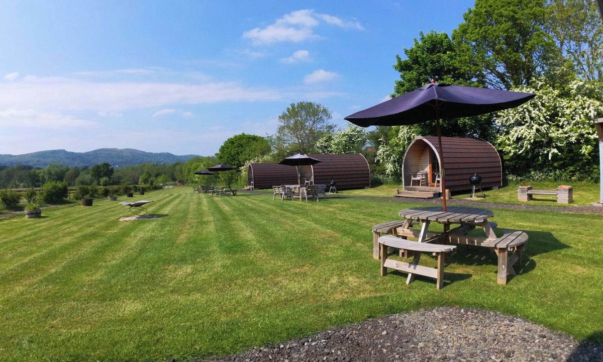 Moreton Cottage | Daisy