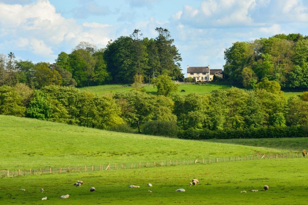 Tamlaght Bed & Breakfast | Dromard House