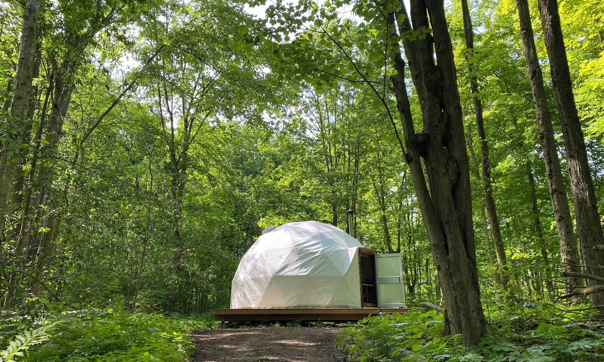 Rodney Cabin | Forest Site Under the stars