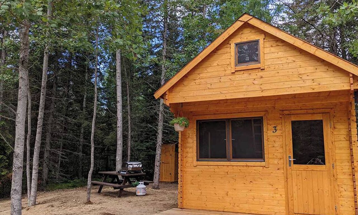 Hastings Highlands Cabin | Fox Den #3