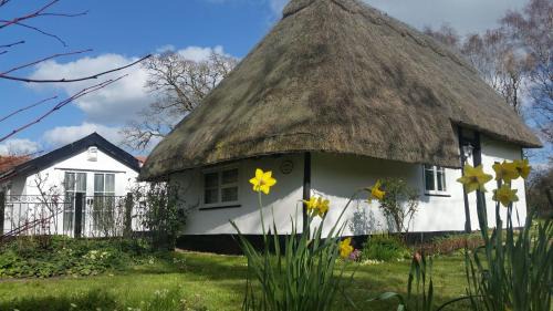 Eye Bed & Breakfast | Frogs Hall B&B