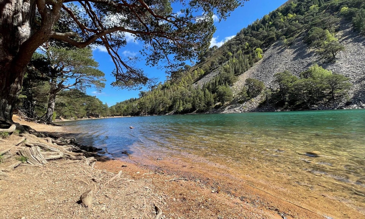 Alvie Cottage | Golden Eagle Lodge