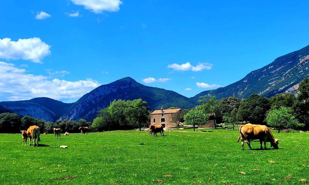 Montagut House | House in a unique natural setting! - 25 pax