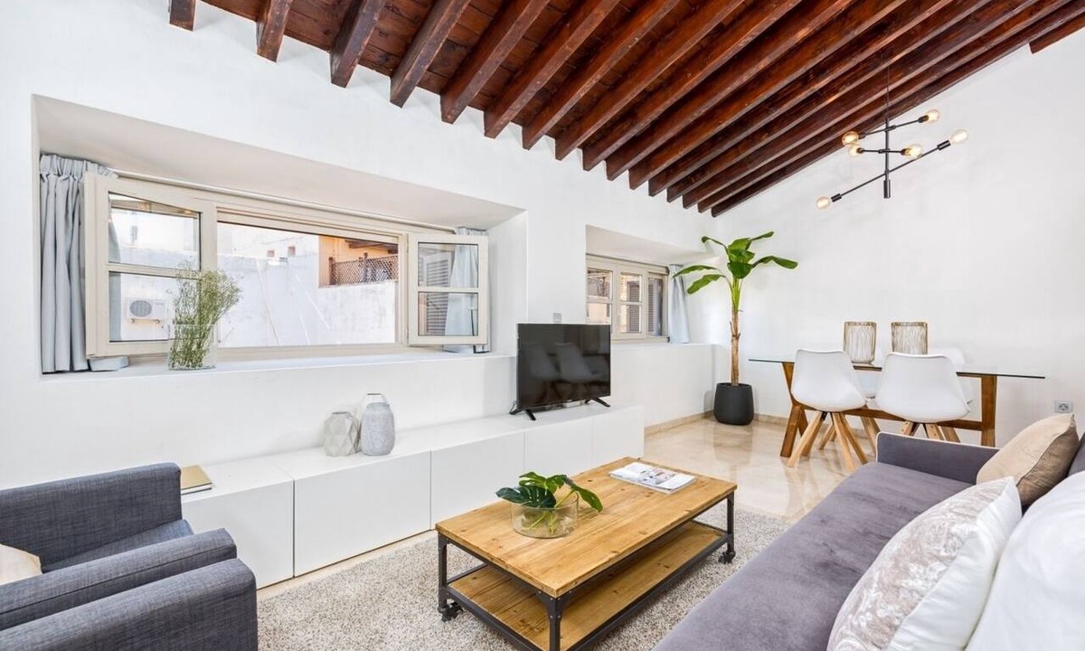 Malaga Historic Centre Apartment | iloftmalaga Mendez Nuñez