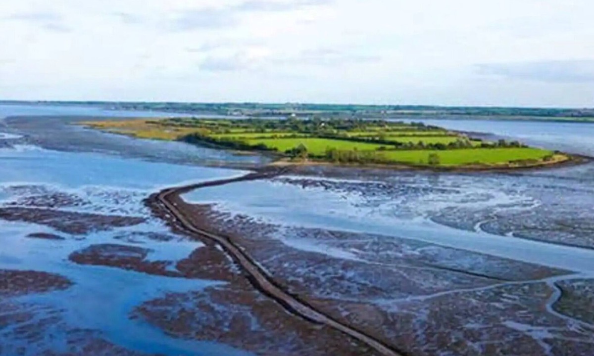 Maldon Cottage | JOIVY Osea Island: Blissful Cottage