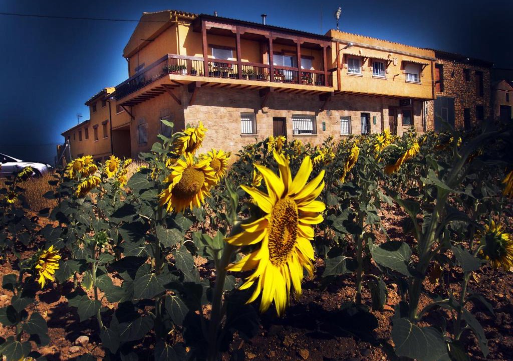 La Melgosa House | La Antigua Vaquería