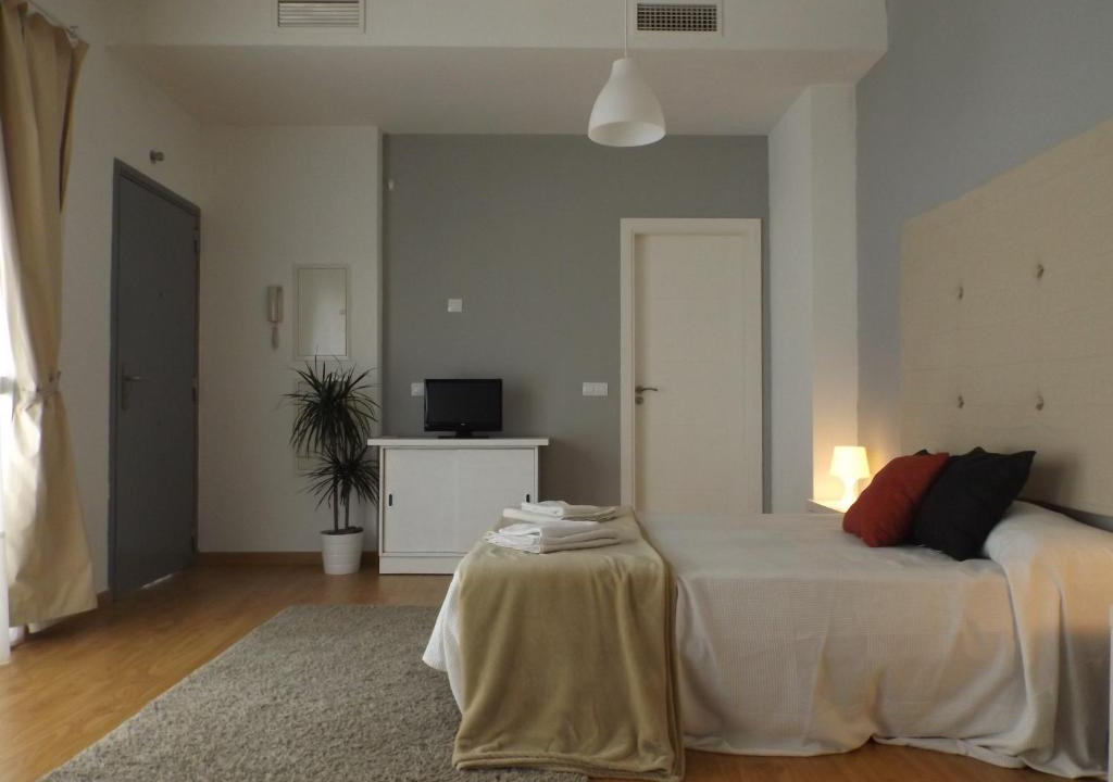 La Trinidad Apartment | MÁLAGA CENTRO_9