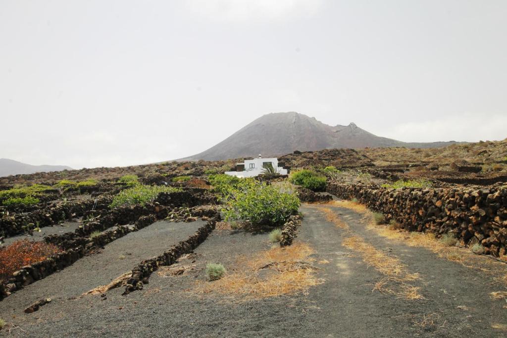 Haria House | Manoa Eco House