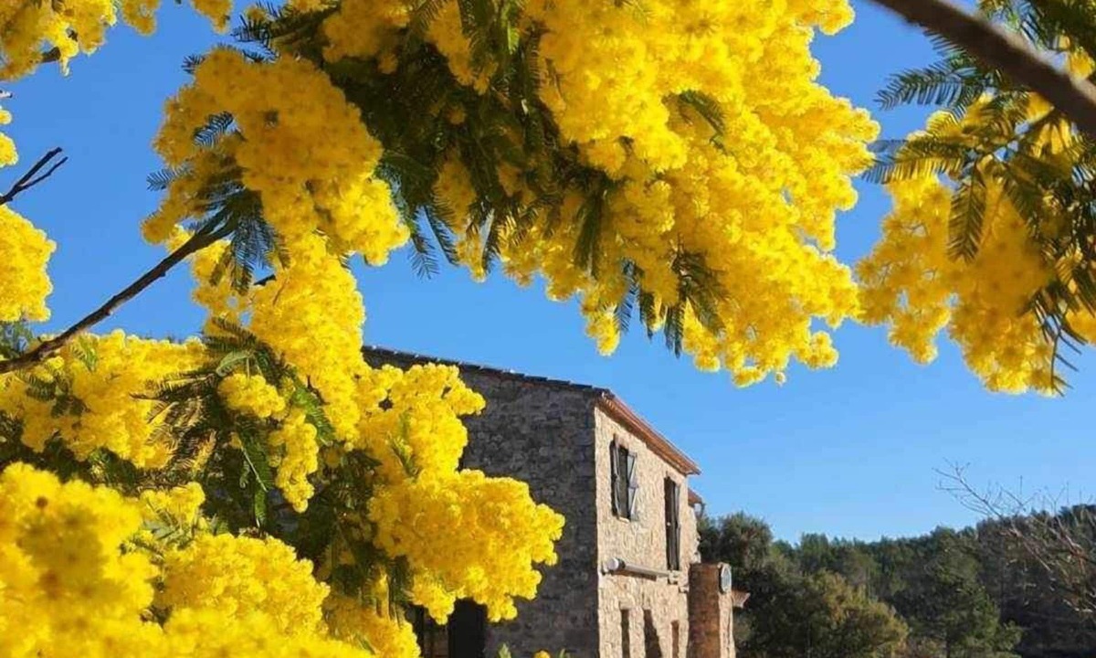 Terrades Apartment | MAS LA CASSANYA