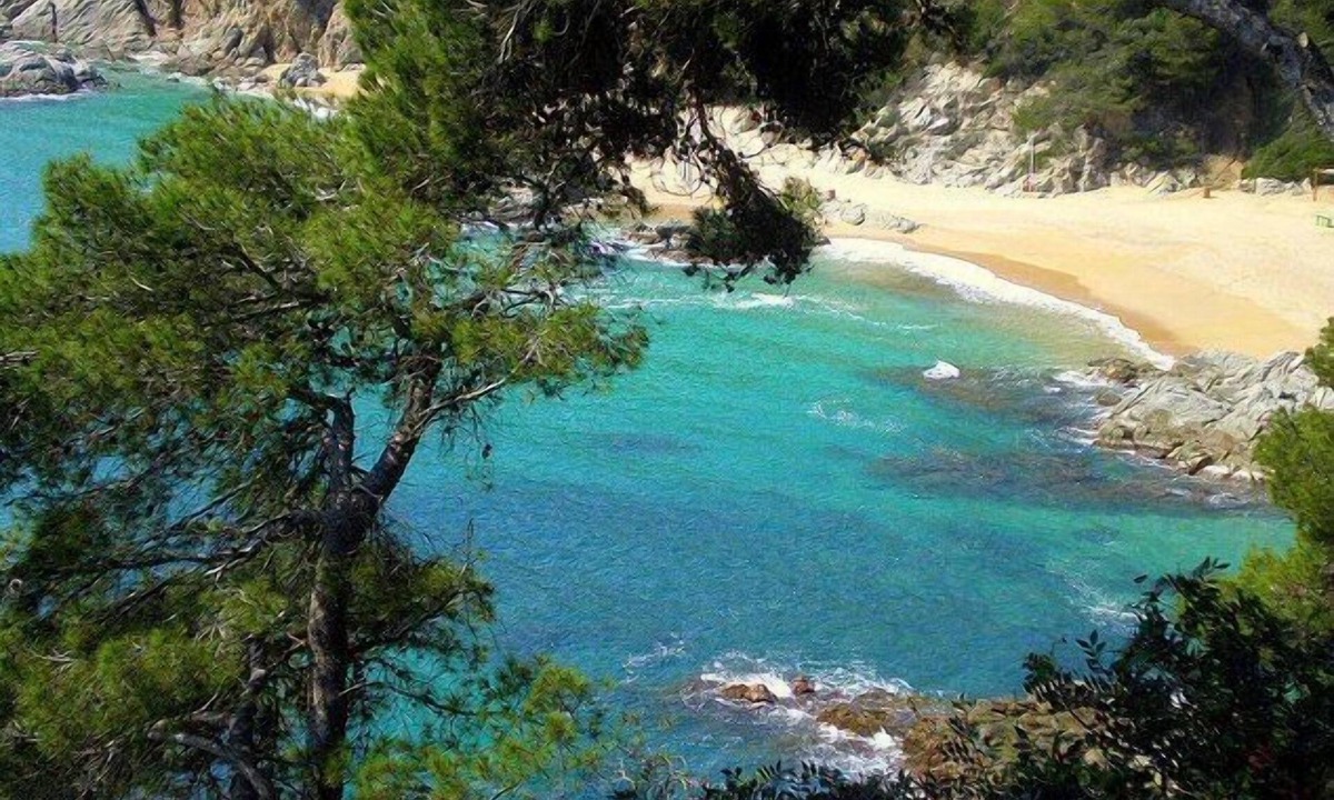 La Goba Villa | New, intimate and modern villa with barbecue and PRIVATE POOL (salt water)