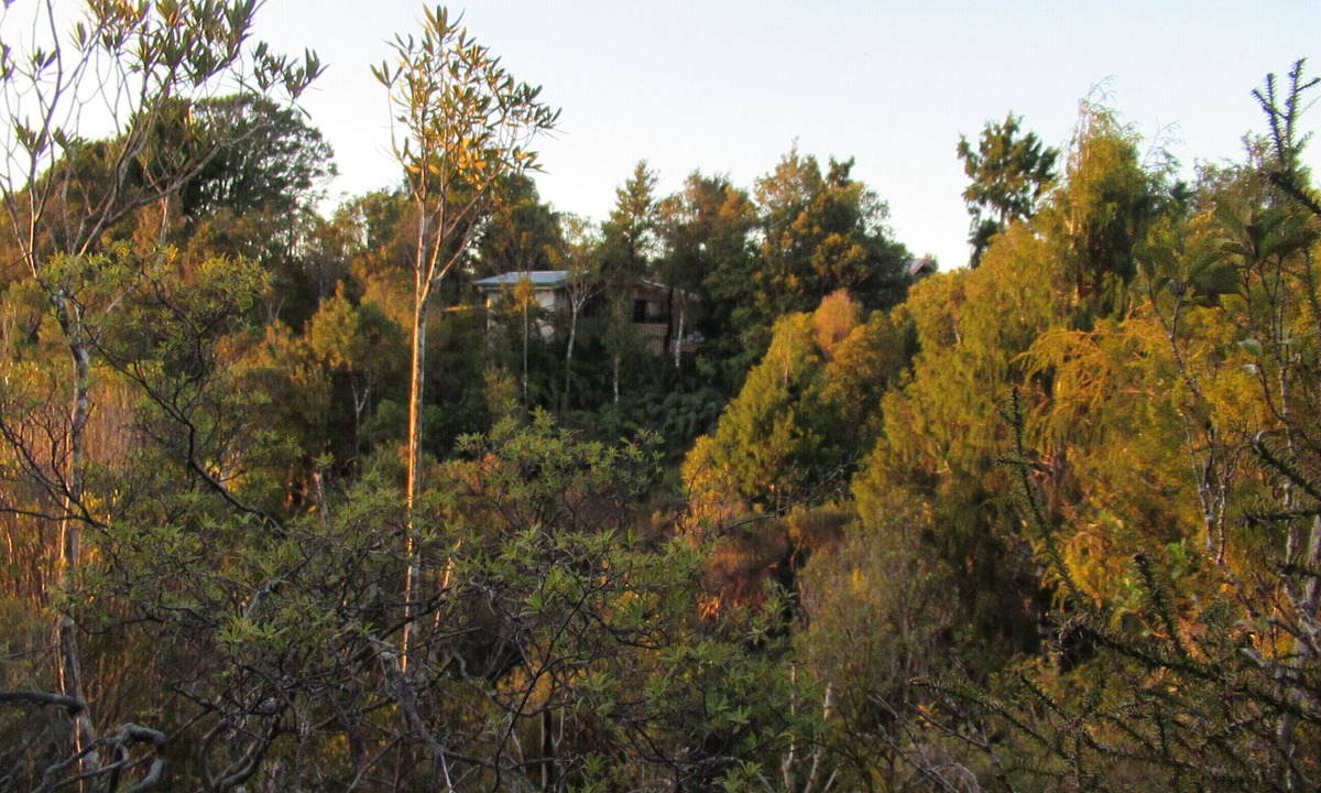 Charleston Cabin | Off grid hut, mountain and bush views