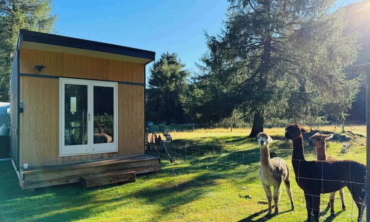 Burkes Pass Cabin | Pine Nook: Quiet Rural Cabin With Mountain Views