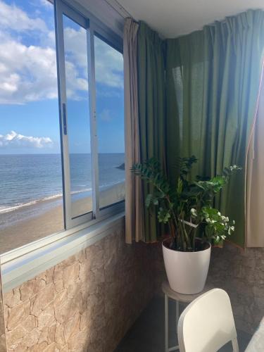 Playa del Aguila Apartment | Seaside accommodation in Playa del Aguila