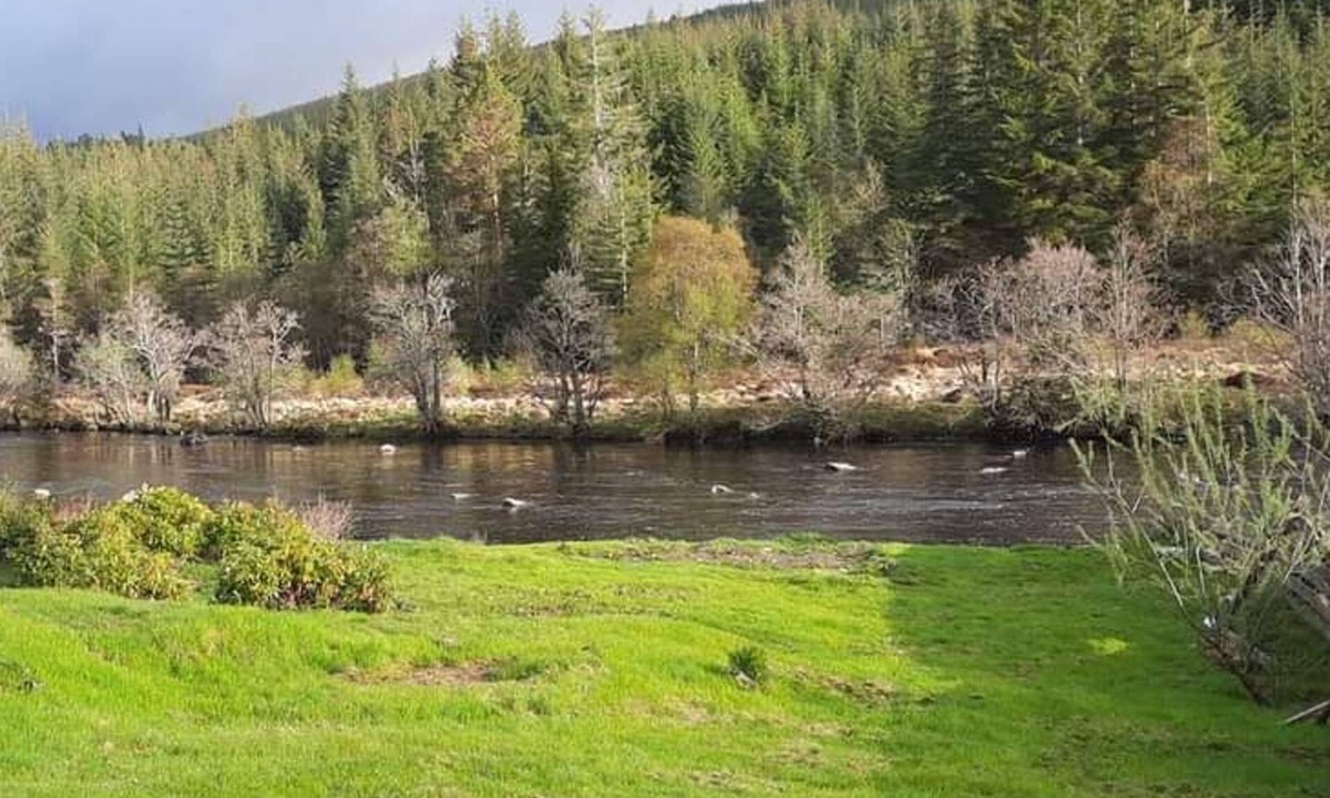Mainland Apartment | Self catering flat in heart of Scottish Highlands