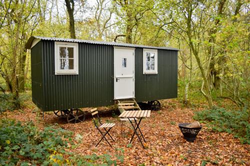 Willian House | Shepherd Hut in the woods