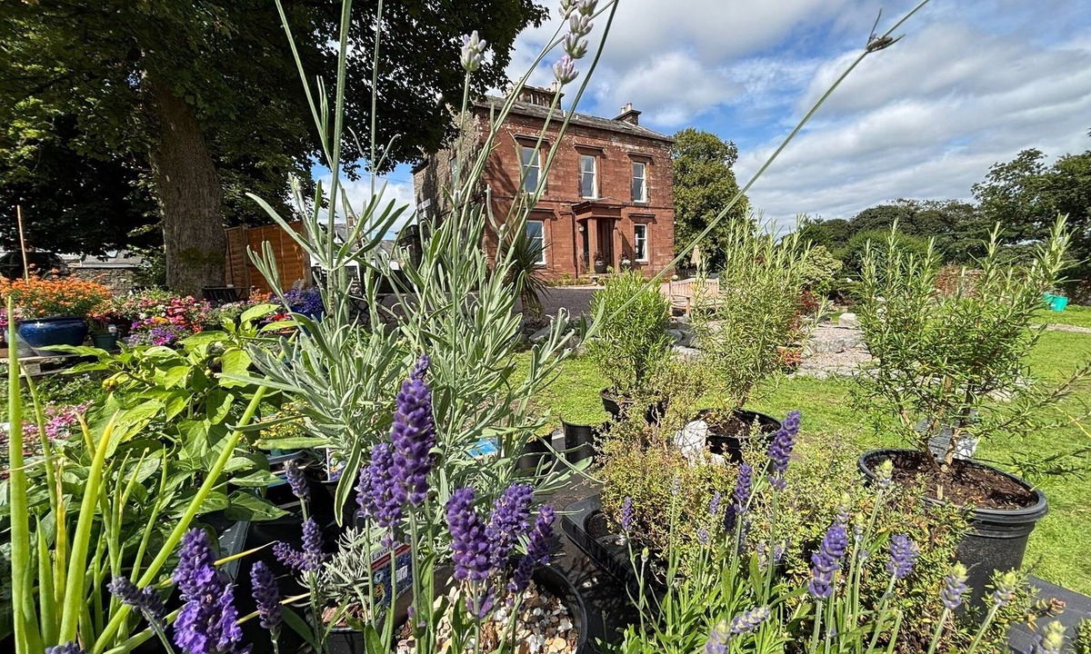Wigtown House | Sleeps up to 14