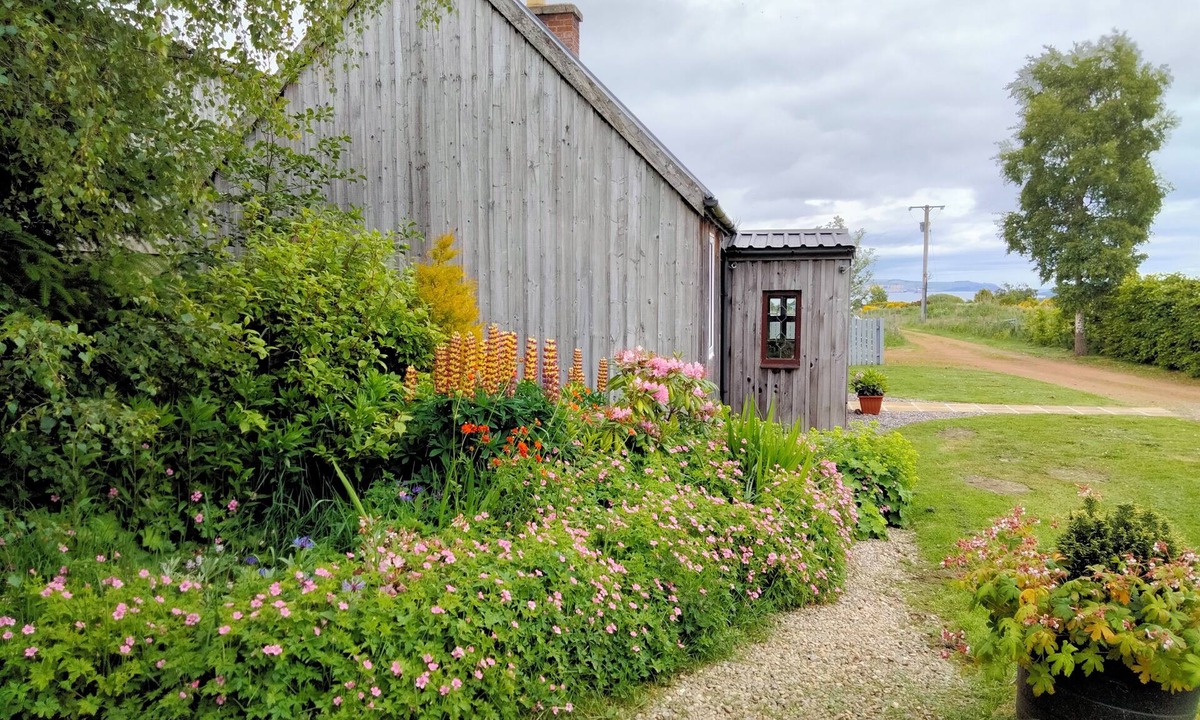 Cromarty Firth Cabin | Small cosy bothy in Highland Scotland, close to North Coast 500 route
