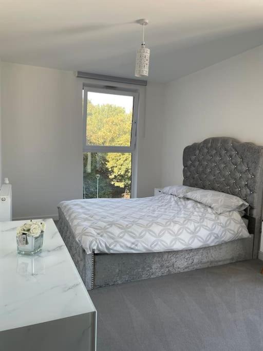 Chelmsford Apartment | Spacious Apartment in the Heart of Chelmsford