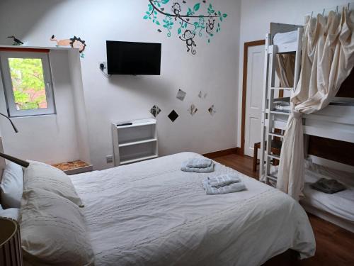 Douglas Hostel | Voyage Hostel - Beds & Ensuite Family Rooms with shared kitchen