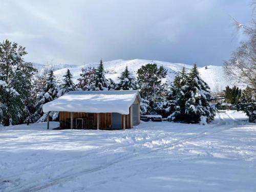 Burkes Pass House | Wildwood Cottage Cozy Secluded Stay