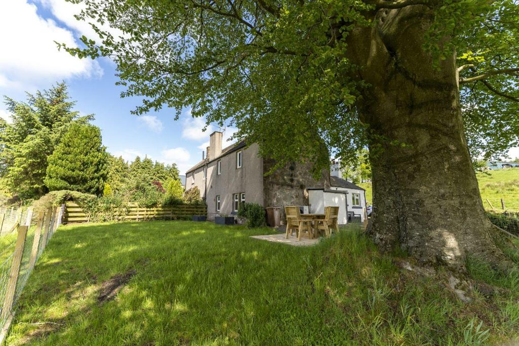 Falkirk House | Wilsons Cottage