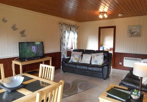 Birch Lodge 13 with Hot Tub Newton Stewart