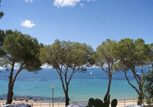 Marina 4 - One Bedroom Apartment, Sleeps 4