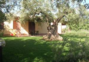 THREE-ROOM APARTMENT for those who love tranquility, nature and hospitality.