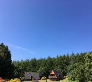 Lodge 