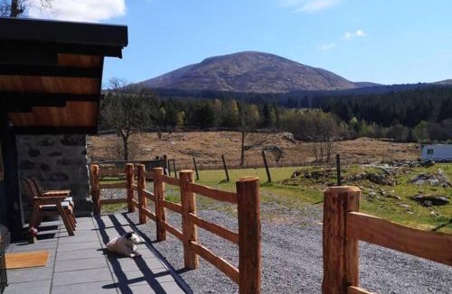 Galloway Forest Park House | 1 Bed Cabin in the Magical Galloway Forest Park