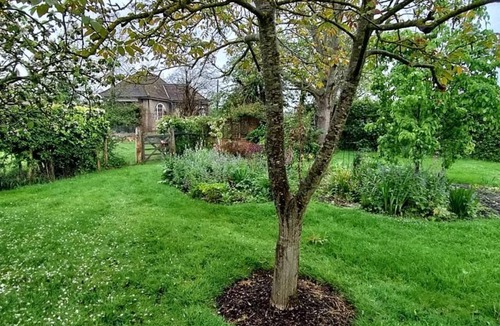Abbess Roding Cottage | 1 Bed in Headcorn (oc-t34759)