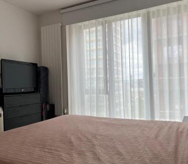 Docklands Apartment | 2 bedroom 2 bathroom Luxe Apartment Royal Wharf