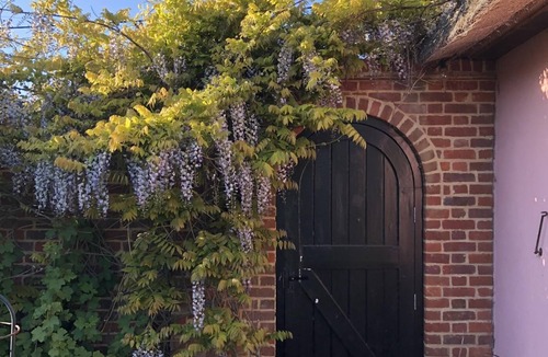 Walberswick Cottage | 3 Bed in Walberswick (oc-spinn)