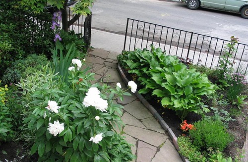 Cabbagetown South House | A Seaton Dream