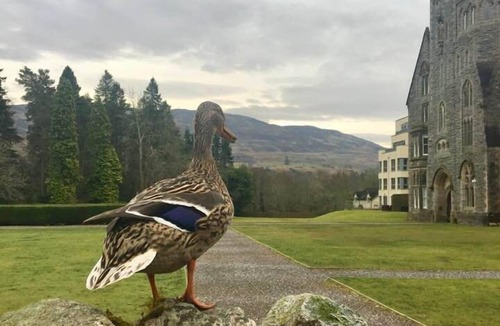 Fort Augustus Apartment | Abbey Church 14 'Averon' at the Highland Club