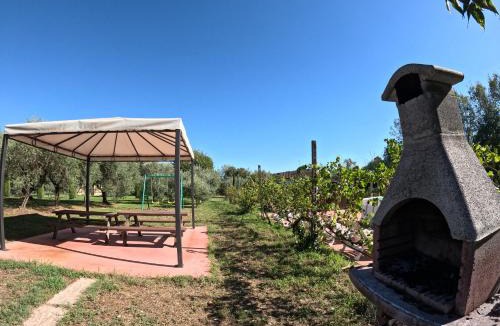Volta Mantovana House | Agriturismo Gardenali
