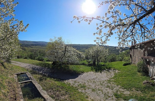 Vivo dʼOrcia Apartment | - Agriturismo La Piaggia - Forest View Apartment on the Ground Floor 2 Guests