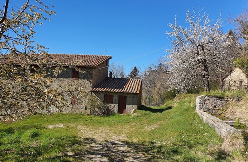 Vivo dʼOrcia Apartment | - Agriturismo La Piaggia - Forest View Apartment on the Ground Floor 2 Guests